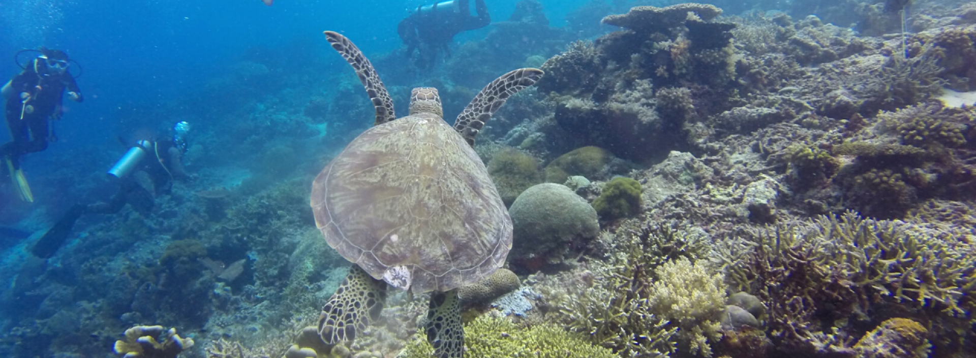 Home | Centre for Ocean Research in Hong Kong and Macau (CORE)